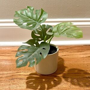Monstera Faux Plant in White Ribbed Pot